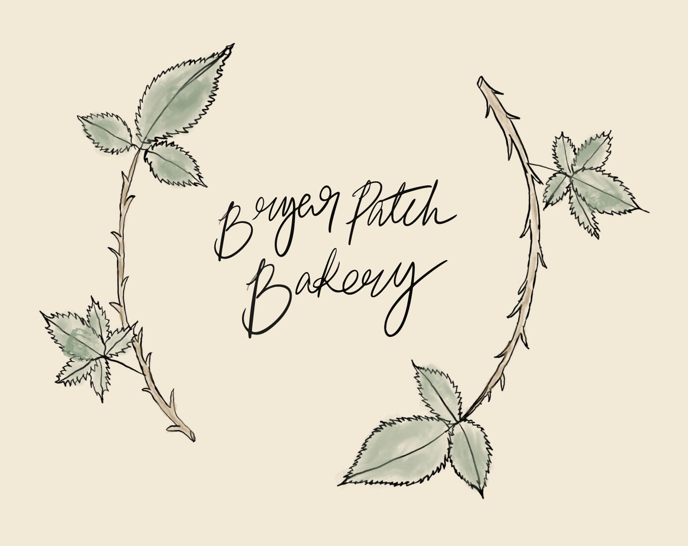 Image: The hand-drawn BP Bakery logo, consisting of the bakery's name in the proprietor's own handwriting, with 2 watercolored blackberry branch flourishes to either side.